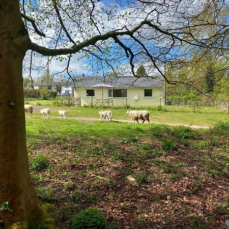 The Bungalow, Forest Of Dean Coleford  Exterior foto